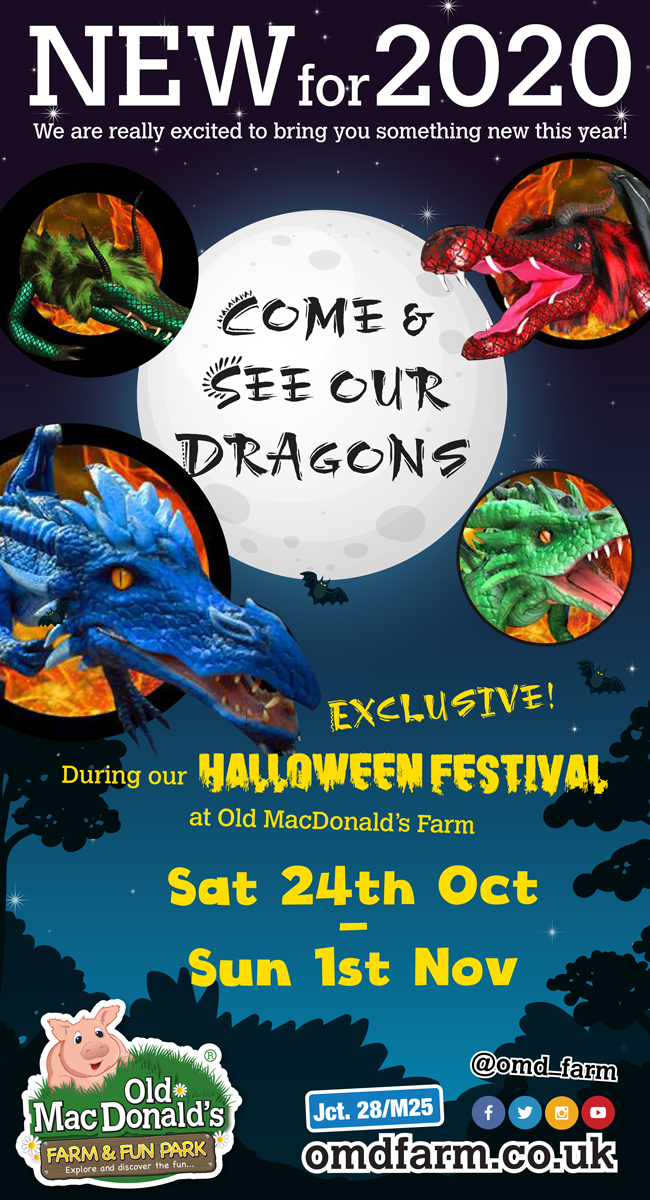 Come & see our Dragons