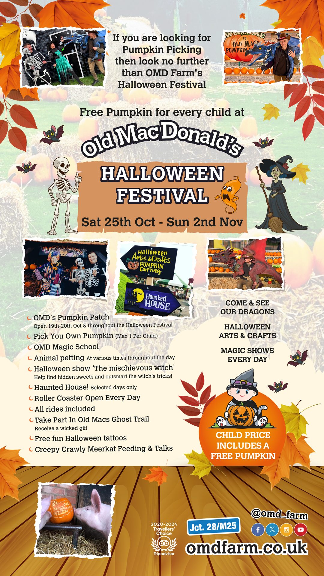 OMD's Halloween Festival