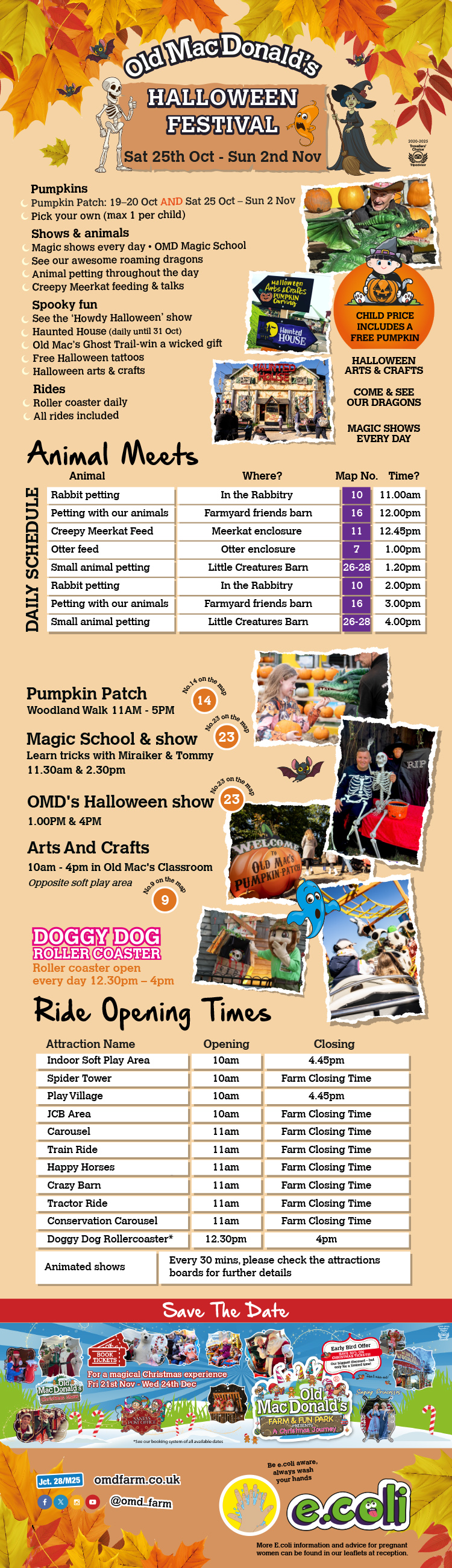 OMD's Halloween Festival