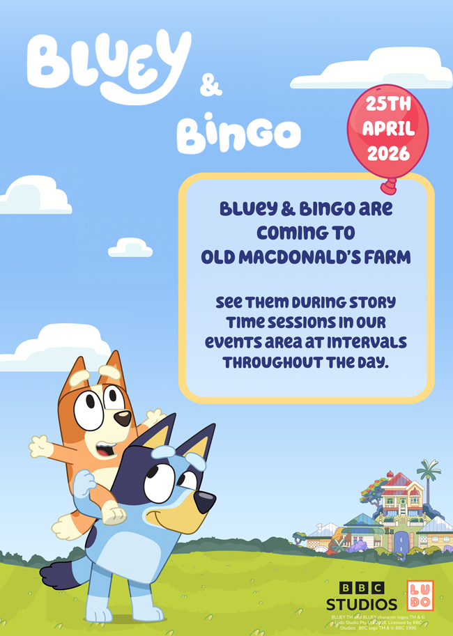 Bluey & Bingo