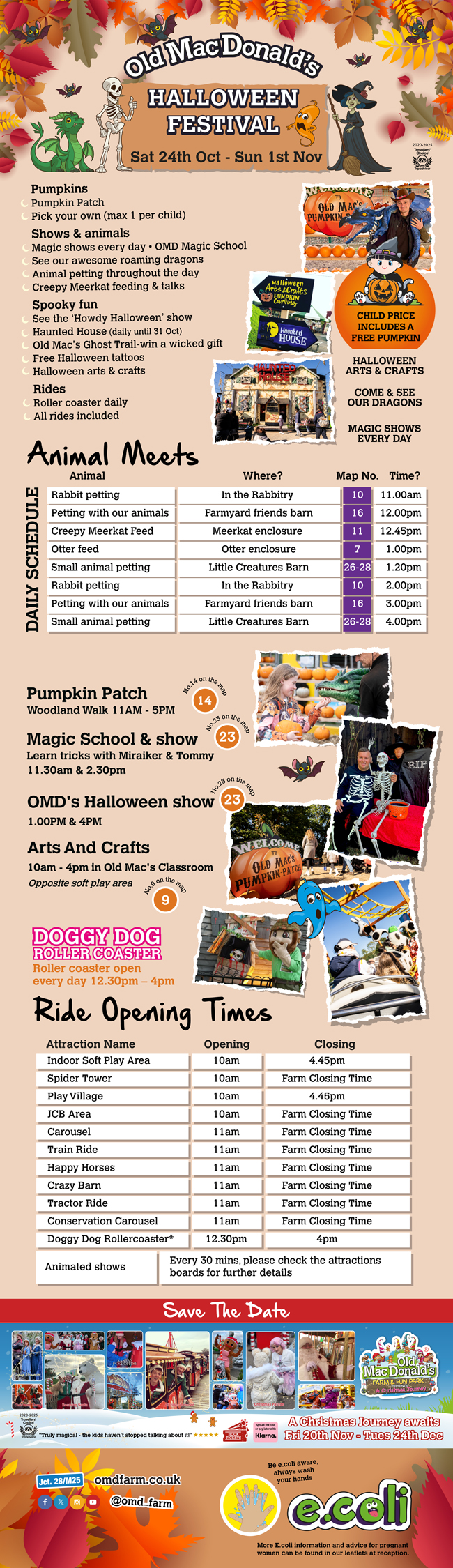 OMD's Halloween Festival